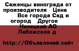 Саженцы винограда от производителя › Цена ­ 800 - Все города Сад и огород » Другое   . Ненецкий АО,Лабожское д.